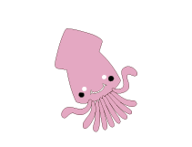 魚