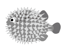 魚