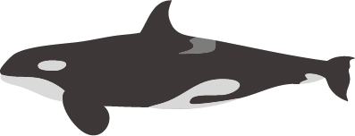 ジンベイザメ