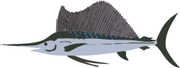 シャチ