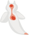 くらげ